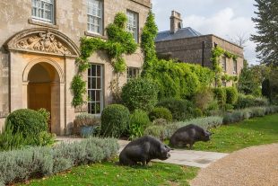 Exterior of The Pig hotel in Bath